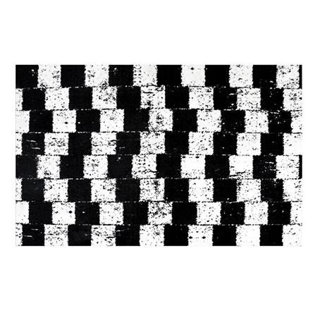 พรม PRAW DE LADDER 120X180 ซม. สีดำ/ขาว