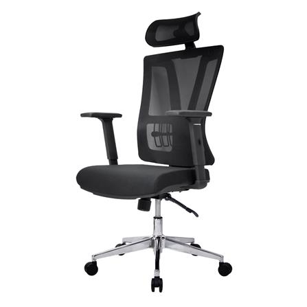 เก้าอี้สุขภาพ SURE AMIGOS PL-1871 สีดำ