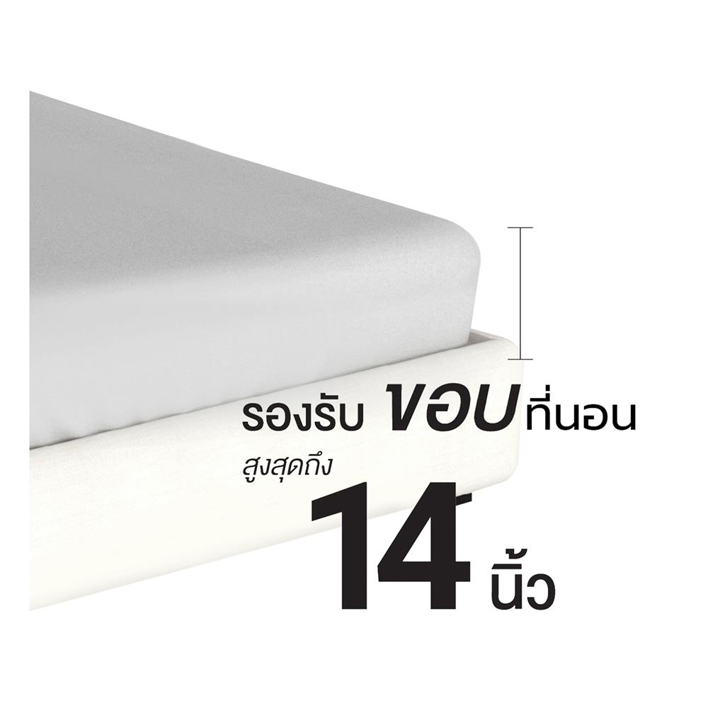 ชุดผ้าปูที่นอน 6 ฟุต 6 ชิ้น FROLINA MICROTEX DF055