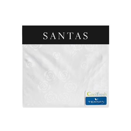 ชุดผ้าปูที่นอน 5 ฟุต 5 ชิ้น SANTAS AMOROUS WH_3