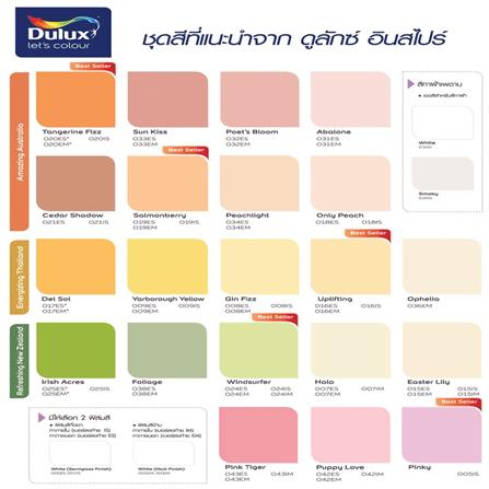 สีน้ำทาฝ้า DULUX INSPIRE 100 สีขาว ด้าน 9 ลิตร_2