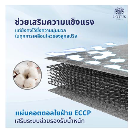 ที่นอน 6 ฟุต LOTUS HUDSON III พร้อมหมอนหนุน 2 ชิ้น_6