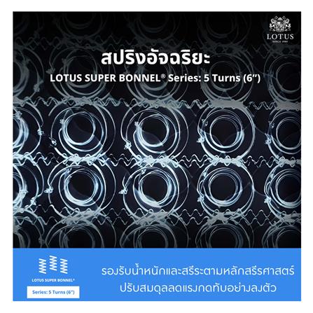 ที่นอน 5 ฟุต LOTUS HUDSON II พร้อมหมอนหนุน 2 ชิ้น_6