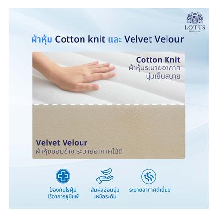 ที่นอน 6 ฟุต LOTUS HUDSON II พร้อมหมอนหนุน 2 ชิ้น_4