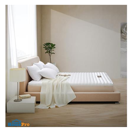 ที่นอน 6 ฟุต LOTUS HUDSON II พร้อมหมอนหนุน 2 ชิ้น_3