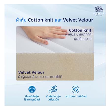 ที่นอน 3.5 ฟุต LOTUS HUDSON III พร้อมหมอนหนุน 1 ชิ้น_4