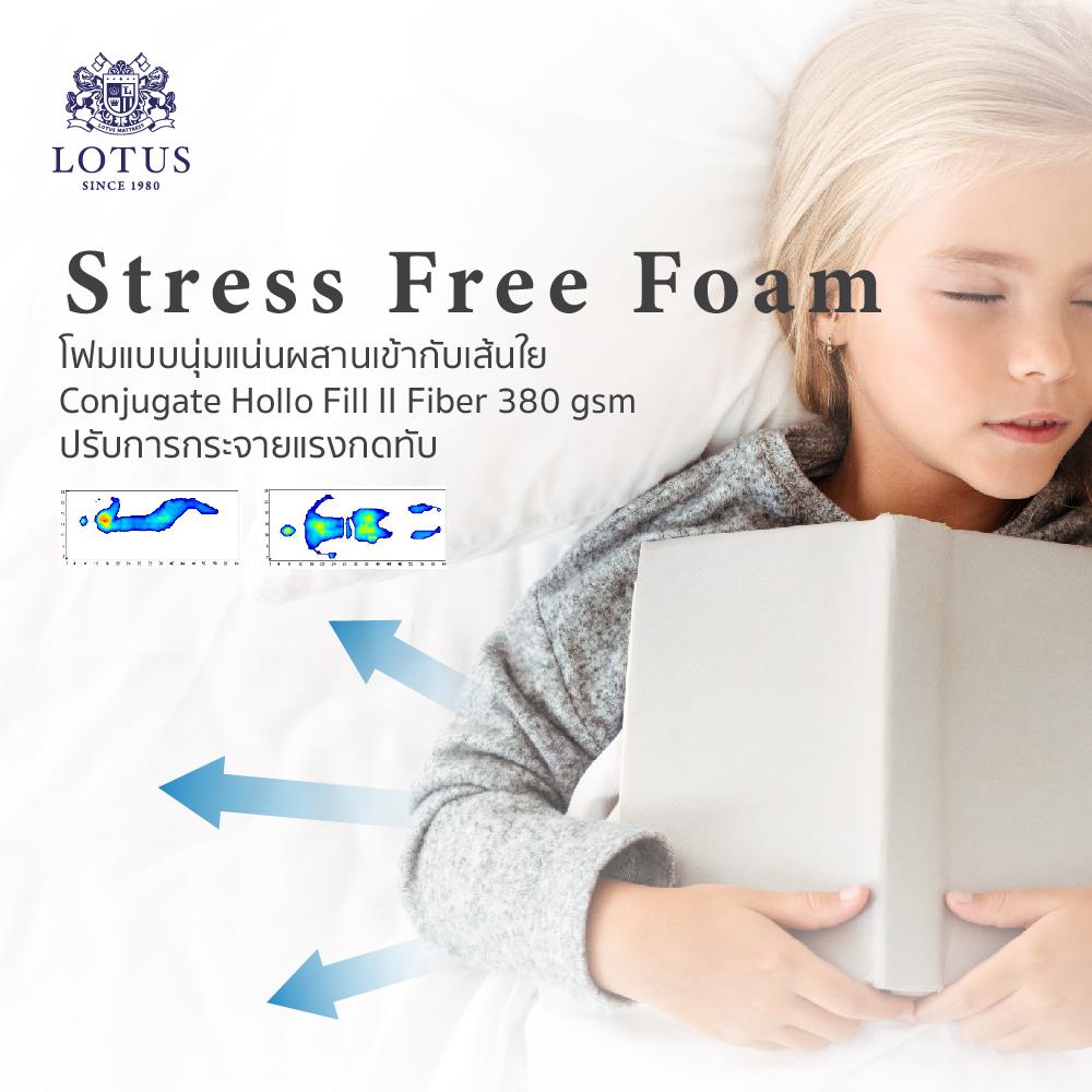 ที่นอน 6 ฟุต LOTUS ROYCE II