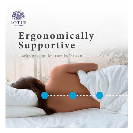 ที่นอน 6 ฟุต LOTUS ROYCE II (พร้อมชุดเครื่องนอน 11 ชิ้น)_6