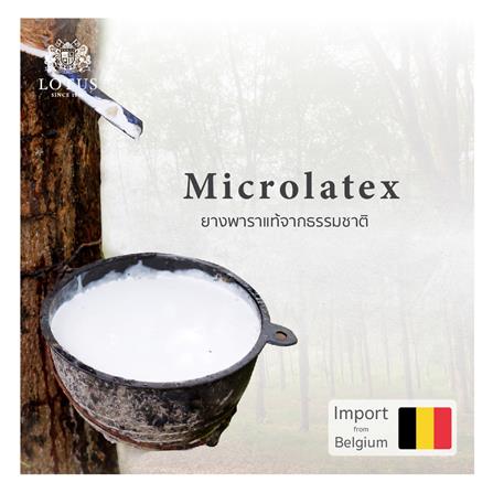 ที่นอน 6 ฟุต LOTUS ROYCE II_7