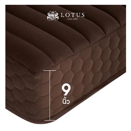 ที่นอน 3.5 ฟุต LOTUS ROYCE II_14