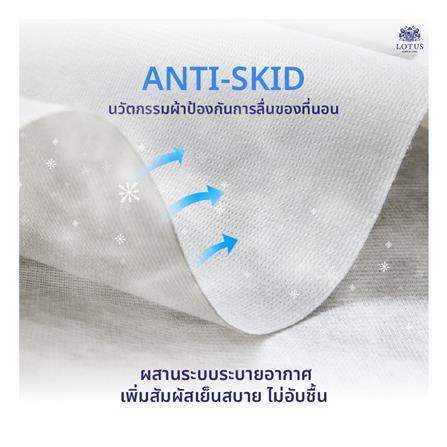 ที่นอน 5 ฟุต LOTUS ROYCE III (พร้อมชุดเครื่องนอน 11 ชิ้น)_15