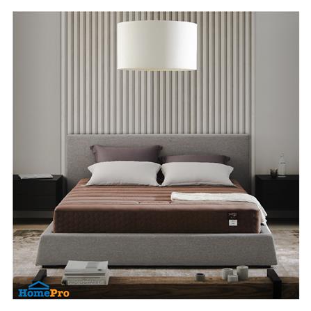 ที่นอน 5 ฟุต LOTUS ROYCE III_3