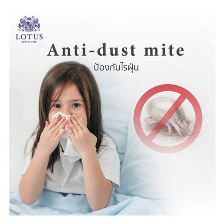 ที่นอนไฮบริด 6 ฟุต LOTUS รุ่น ROYCE พร้อมชุดเครื่องนอน 11 ชิ้น_10
