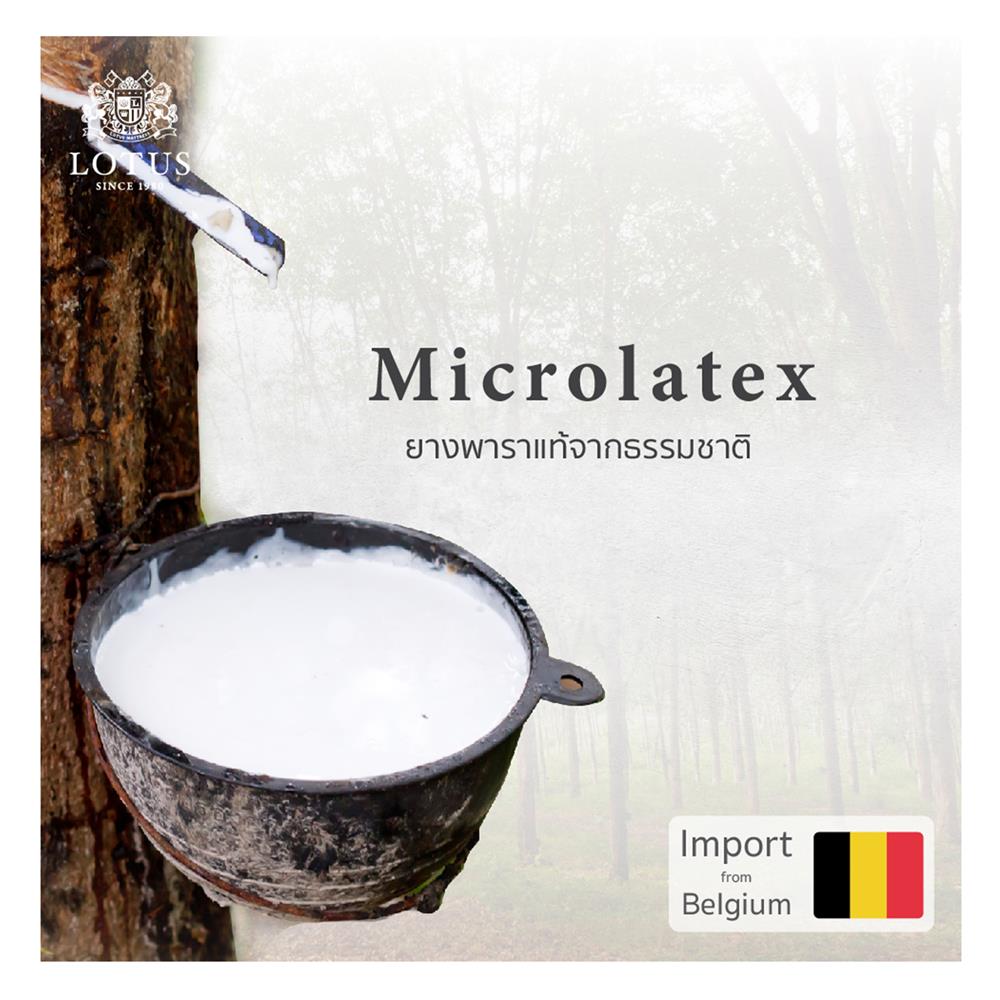 ที่นอน 5 ฟุต LOTUS ROYCE