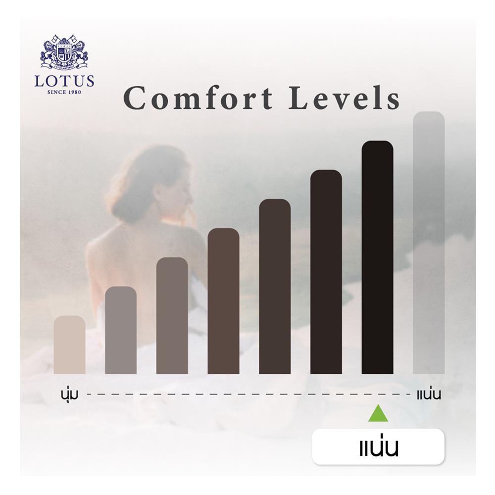 ที่นอนไฮบริด 5 ฟุต LOTUS รุ่น ROYCE พร้อมชุดเครื่องนอน 11 ชิ้น