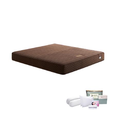 ที่นอน 5 ฟุต LOTUS ROYCE (พร้อมชุดเครื่องนอน 11 ชิ้น)