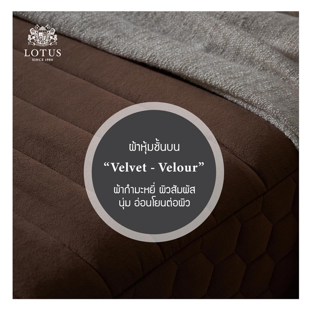 ที่นอน 5 ฟุต LOTUS ROYCE II (พร้อมชุดเครื่องนอน 11 ชิ้น)