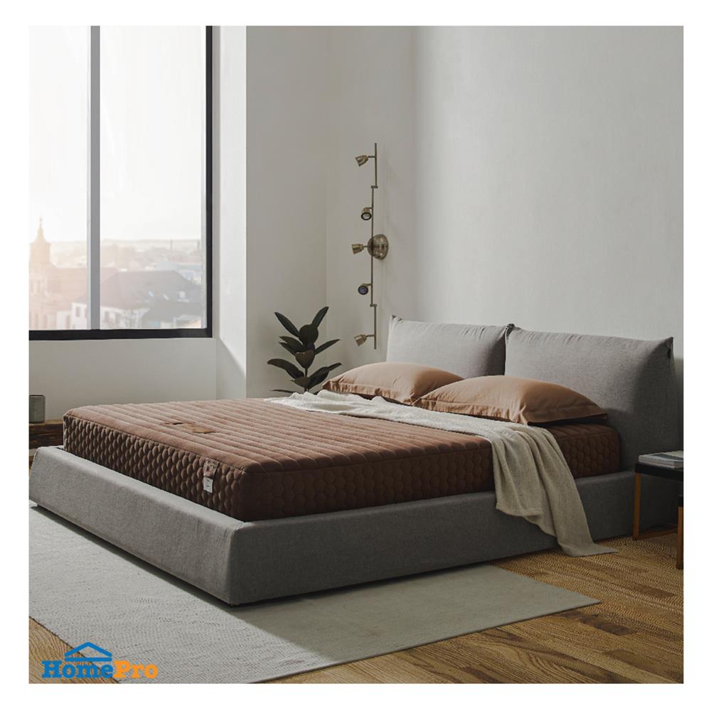 ที่นอน 5 ฟุต LOTUS ROYCE II