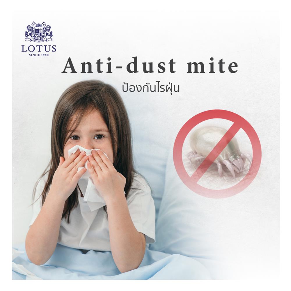 ที่นอน 3.5 ฟุต LOTUS ROYCE III