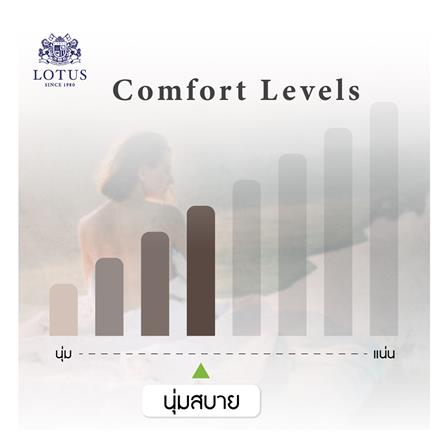ที่นอนไฮบริด 6 ฟุต LOTUS รุ่น ROYCE III พร้อมชุดเครื่องนอน 11 ชิ้น_14