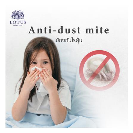 ที่นอน 6 ฟุต LOTUS ROYCE III_10