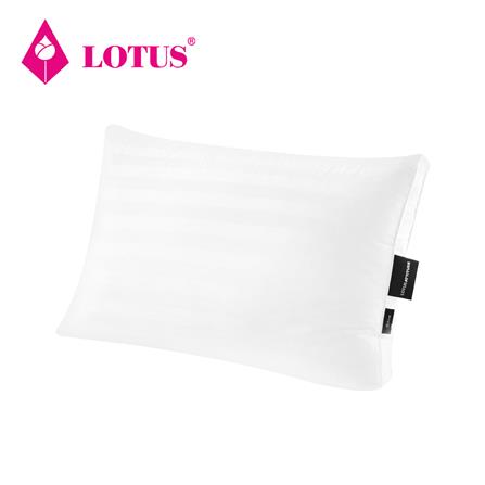หมอนสุขภาพ ไมโครดาวน์เนีย LOTUS ATTITUDE CARE FIRM 20x30 นิ้ว สีขาว