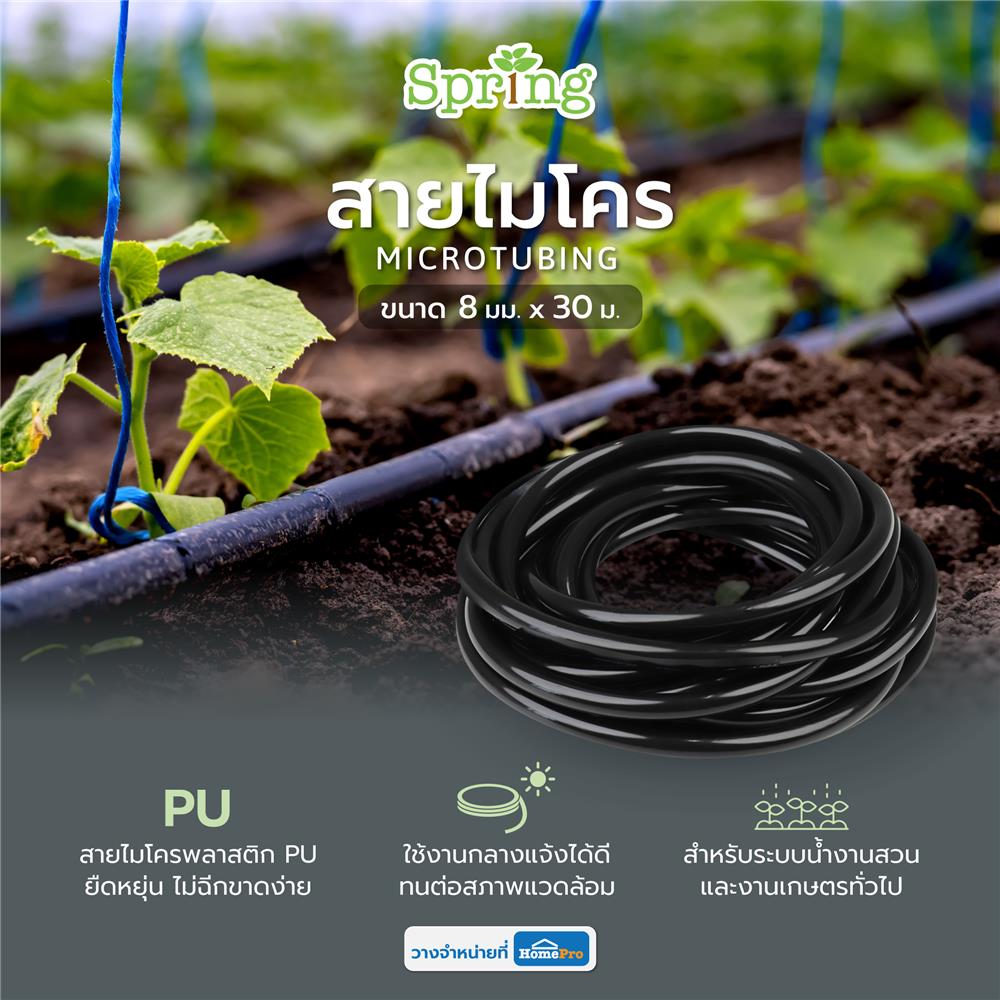 สายไมโคร SPRING DY2333 8 มม. X 30 ม.