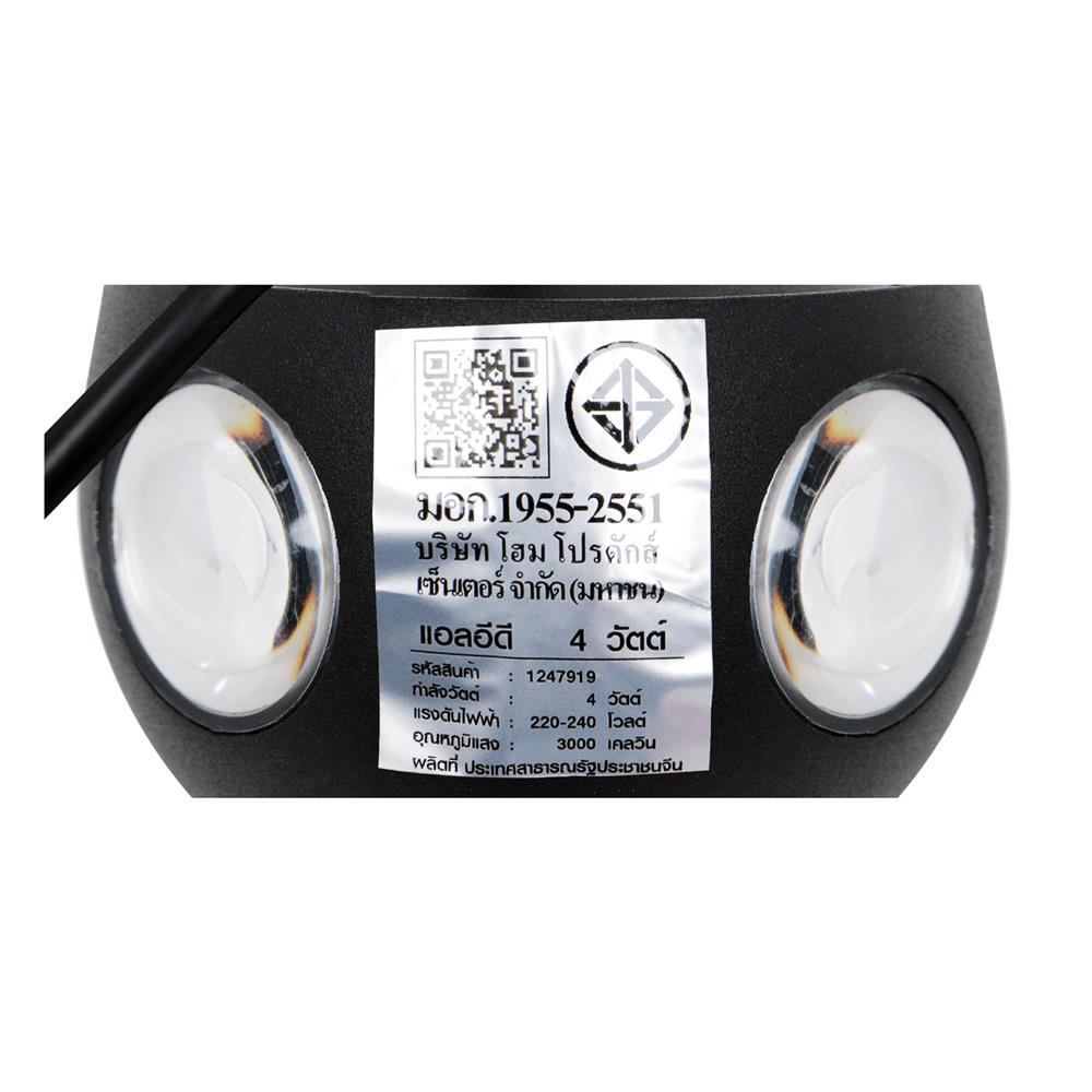 ไฟกิ่งภายนอก LED CARINI BO-T4101-4 4 วัตต์ WARM WHITE สีดำ