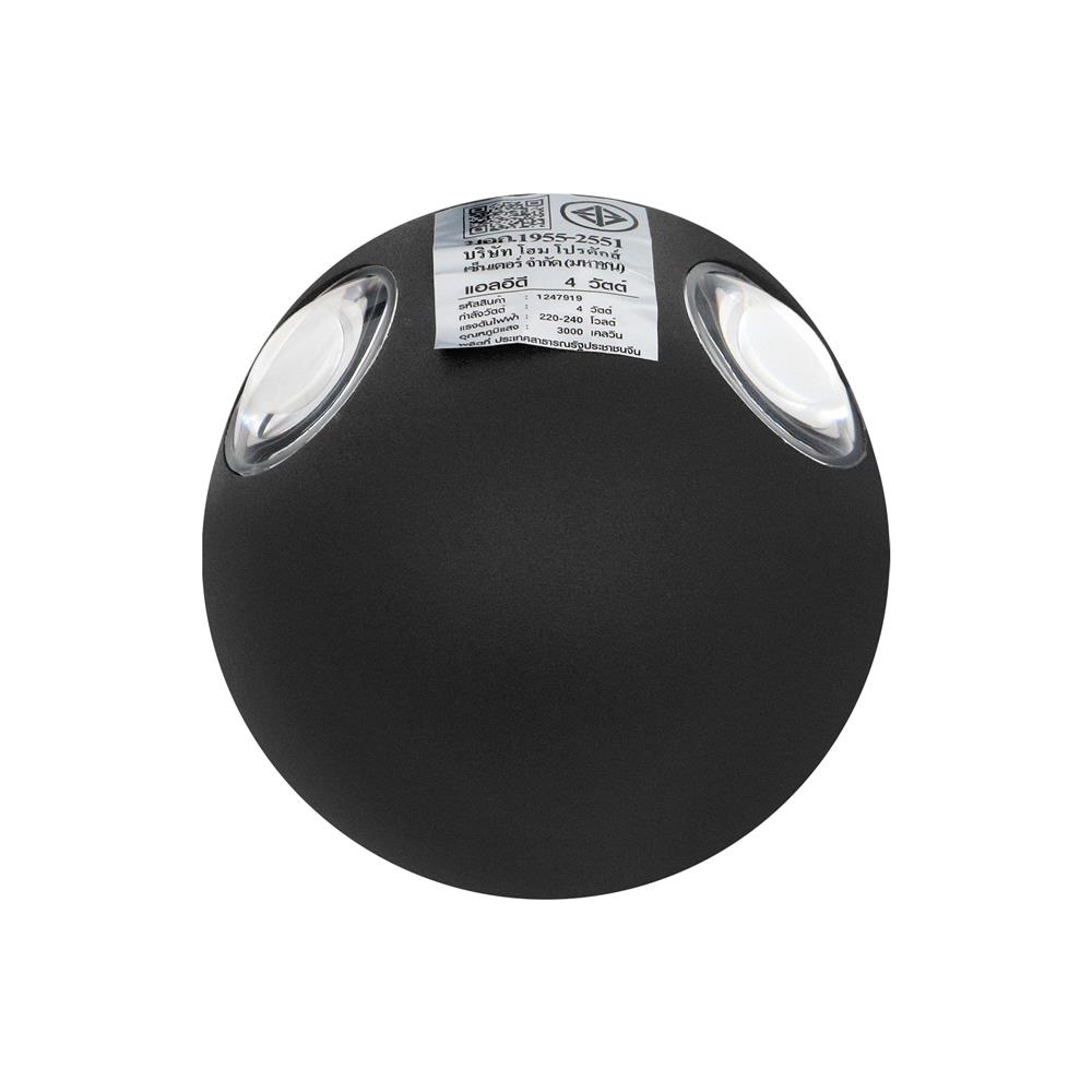 ไฟกิ่งภายนอก LED CARINI BO-T4101-4 4 วัตต์ WARM WHITE สีดำ