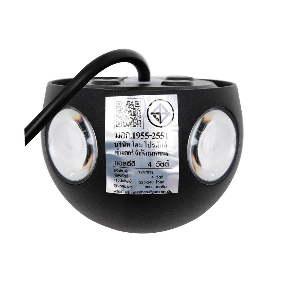 ไฟกิ่งภายนอก LED CARINI BO-T4101-4 4 วัตต์ WARM WHITE สีดำ