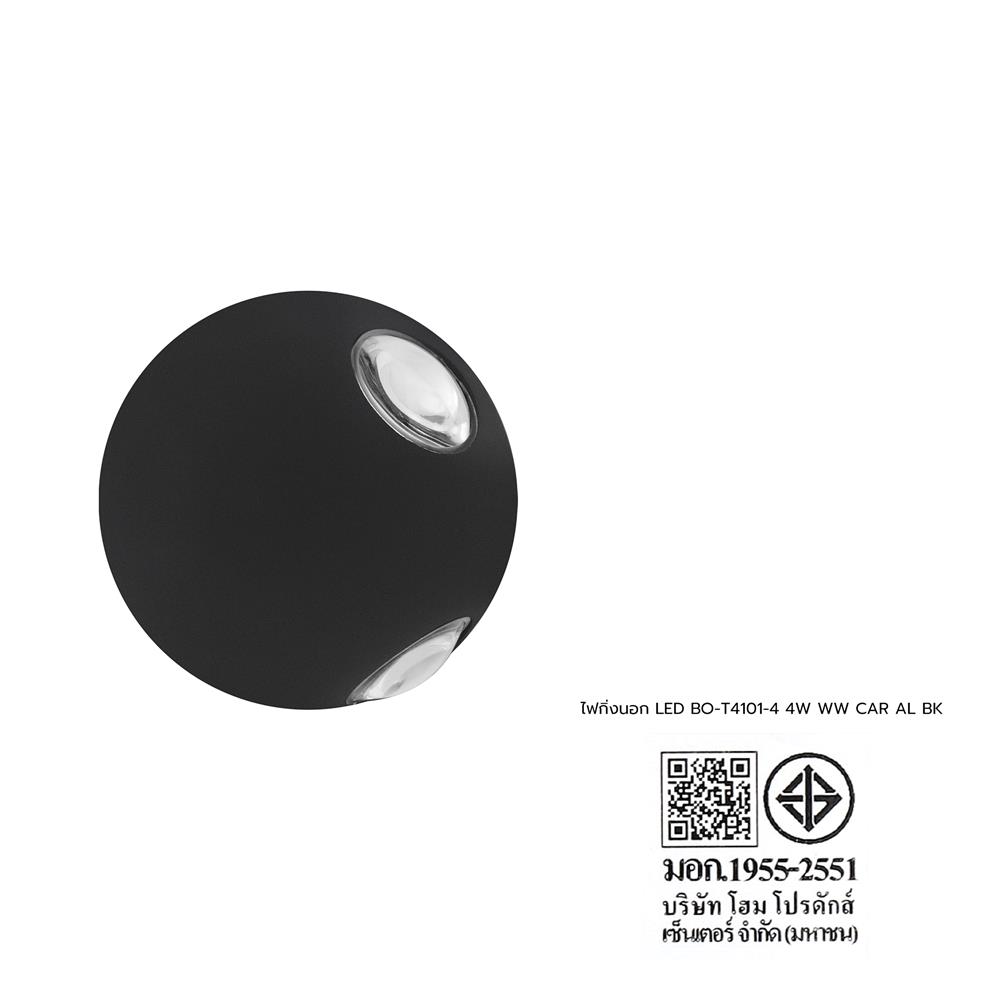 ไฟกิ่งภายนอก LED CARINI BO-T4101-4 4 วัตต์ WARM WHITE สีดำ