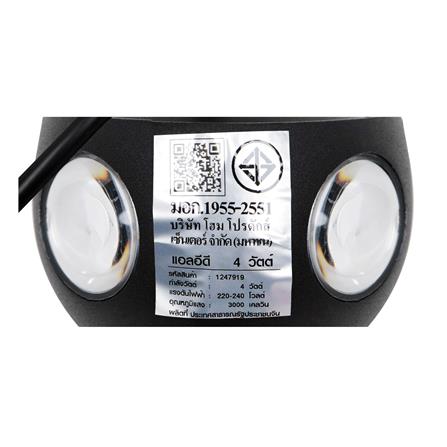 ไฟกิ่งภายนอก LED CARINI BO-T4101-4 4 วัตต์ WARM WHITE สีดำ_9