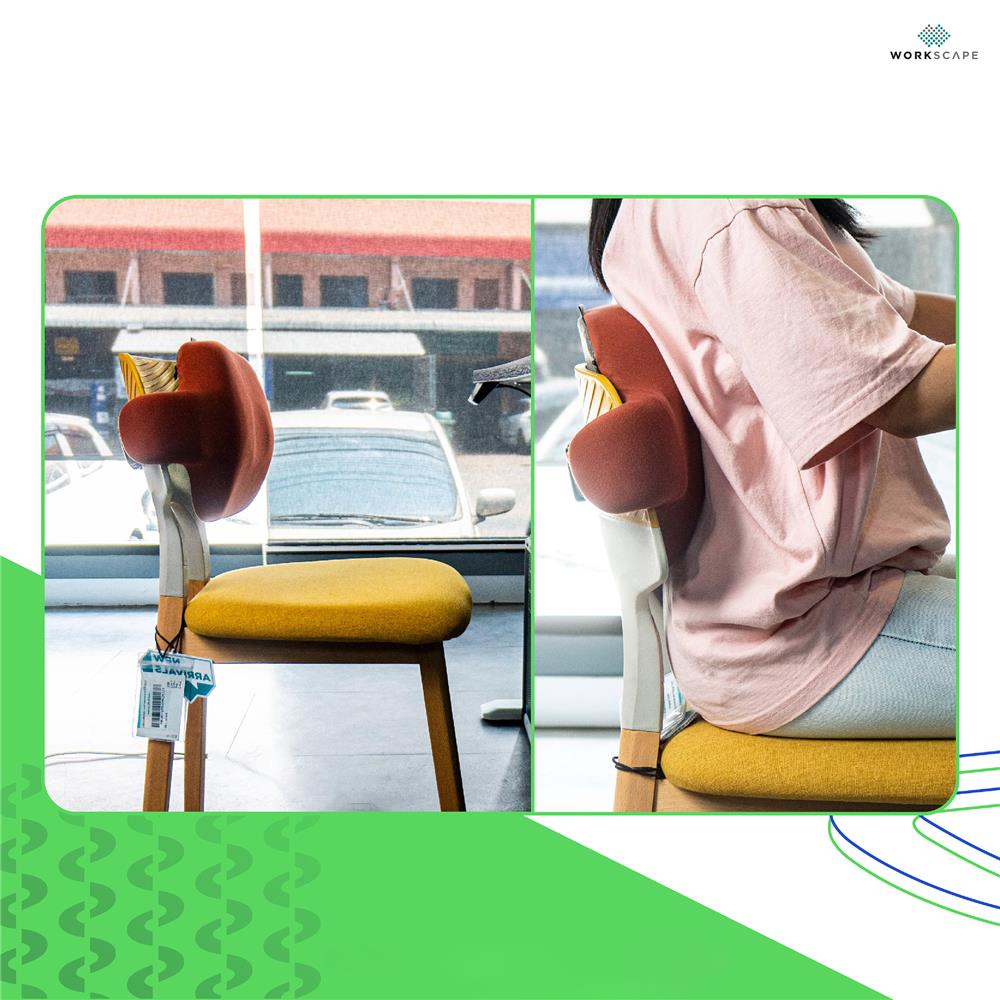 เบาะรองหลัง WORKSCAPE WAH-00017 9.8X19.6 นิ้ว สีส้ม
