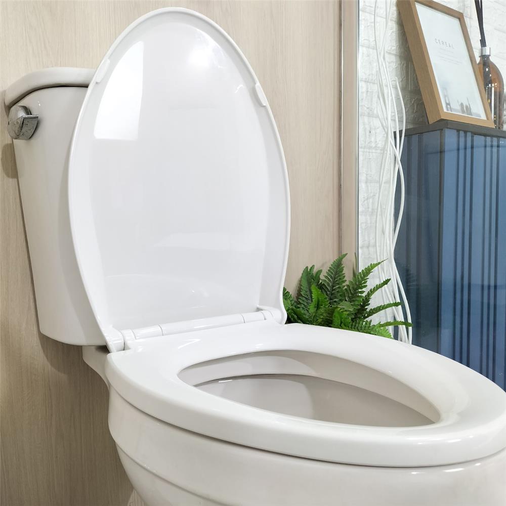 ฝารองนั่ง SLOW CLOSE WSP TS4-8