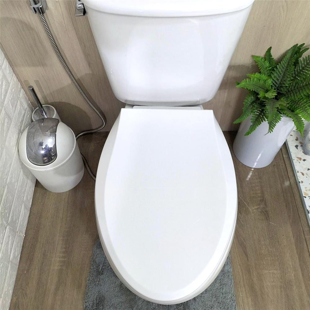 ฝารองนั่ง SLOW CLOSE WSP TS4-8