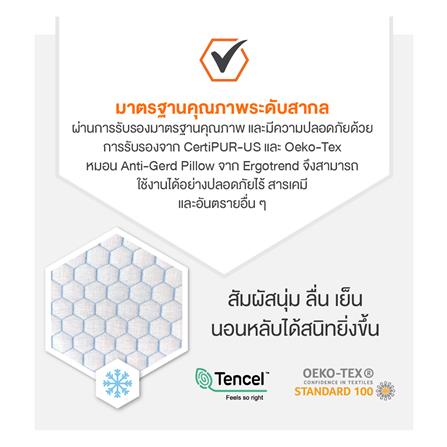 หมอนสุขภาพ เมมโมรี่โฟม ERGOTREND ANTI GERD 60x68x20 ซม. สีขาว_6