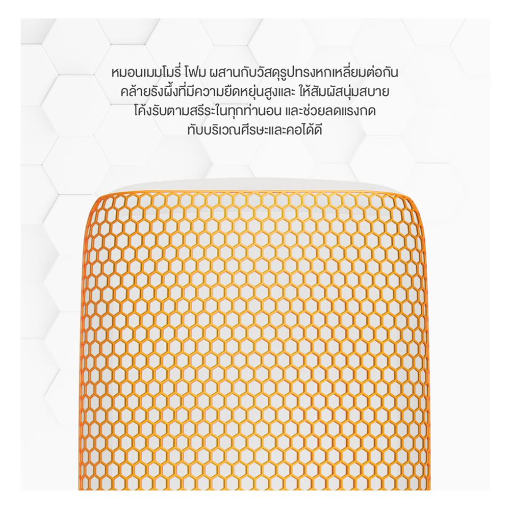 หมอนสุขภาพ เมมโมรี่โฟม ERGOTREND HEXPERT 3D 60x40x13 ซม. สีขาว