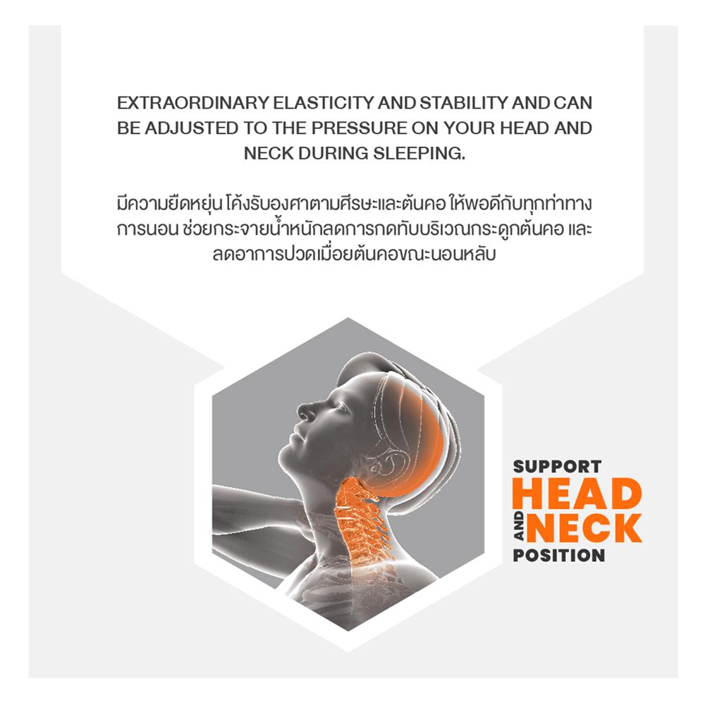 หมอนสุขภาพ เมมโมรี่โฟม ERGOTREND HEXPERT 3D 60x40x13 ซม. สีขาว