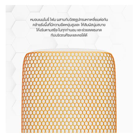 หมอนสุขภาพ เมมโมรี่โฟม ERGOTREND HEXPERT 3D 60x40x13 ซม. สีขาว_4