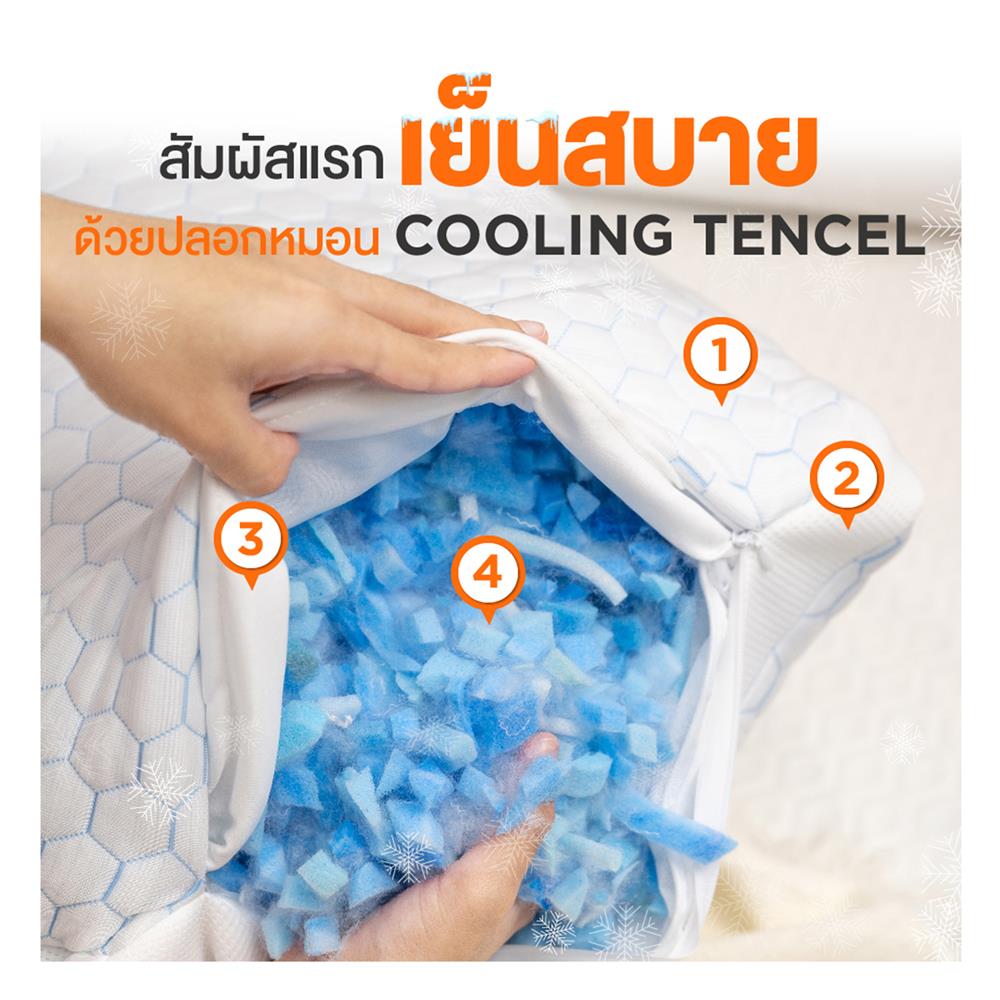 หมอนสุขภาพ เมมโมรี่โฟม ERGOTREND SOFTPLUS ERGONOMIC PILLOW 70x50x20 ซม. สีขาว