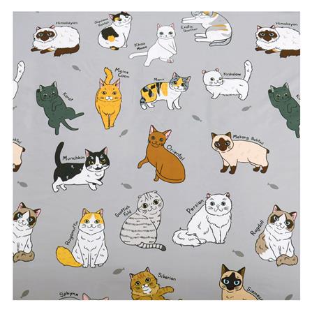 ชุดผ้าปูที่นอน 5 ฟุต 6 ชิ้น TULIP ทูลหัวของบ่าว 60256-DLD002_1