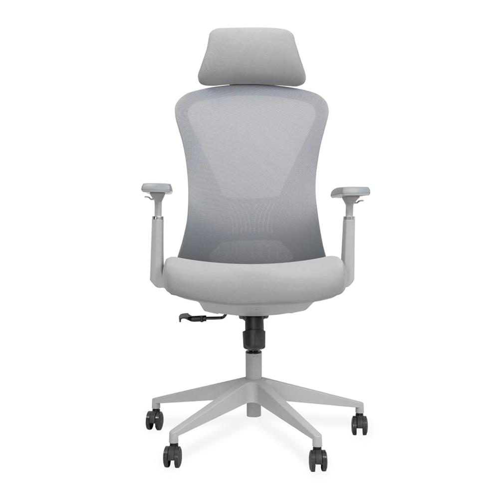 เก้าอี้สุขภาพ BEWELL FOSTER PLUS สีเทา