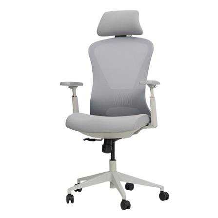 เก้าอี้สุขภาพ BEWELL FOSTER PLUS สีเทา_0