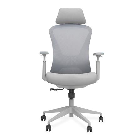 เก้าอี้สุขภาพ BEWELL FOSTER PLUS สีเทา_1