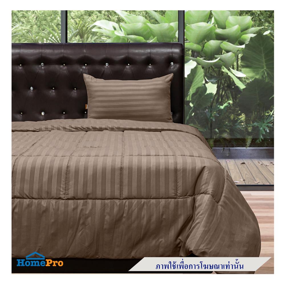 ผ้านวม PICASSO SMILE 60X80 นิ้ว ลายริ้ว สี BROWN