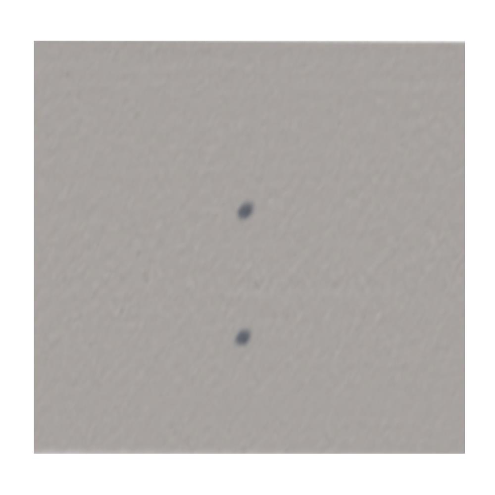 ไม้ตกแต่งซีเฟรม พร้อมอุปกรณ์สกรู DURAONE 22.3X300X1.2 ซม. สีซีเมนต์