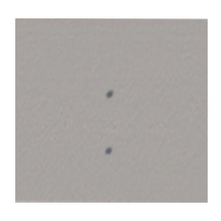 ไม้ตกแต่งซีเฟรม พร้อมอุปกรณ์สกรู DURAONE 22.3X300X1.2 ซม. สีซีเมนต์_2