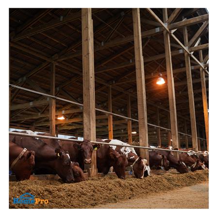 หลอด LED EVE SHOP BULB ANTI-MOSQUITO 30 วัตต์ สีส้ม E27_2