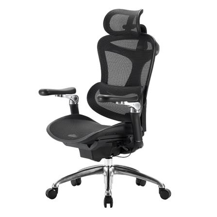 เก้าอี้สุขภาพ WORK STATION MODEL-E F029 สีดำ