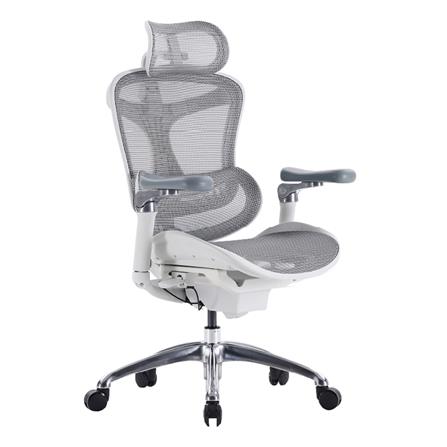 เก้าอี้สุขภาพ WORK STATION MODEL-E F029 สีเทา_1